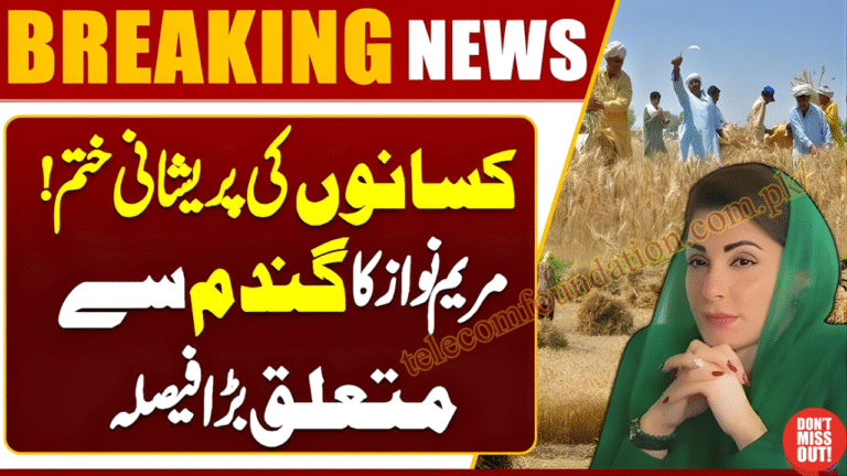 CM Punjab Farmer Welfare Package