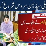 Free Home Medicine Delivery Project in Punjab