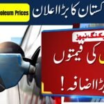 Govt Increases Petroleum Prices