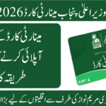 CM Punjab Minority Card
