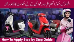 Electric Scooter Scheme