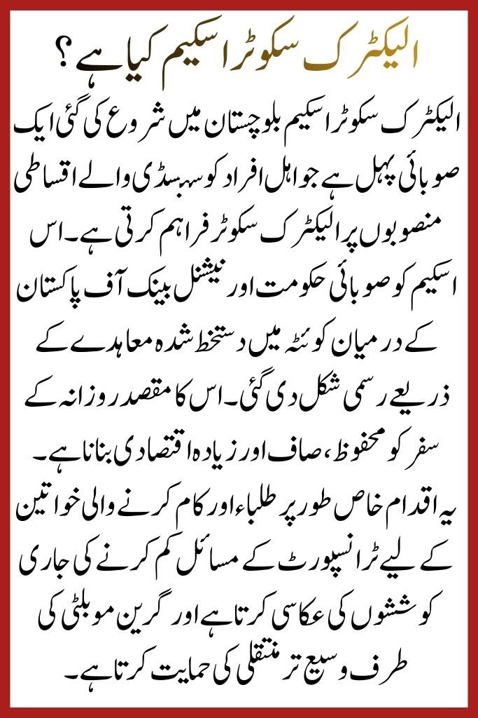 Electric Scooter Scheme