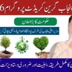 CM Punjab Green Credit Program 2026 Explained