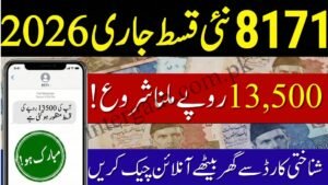 8171 Check Online CNIC